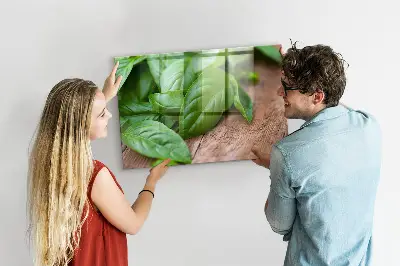 Basil leaves magnetic wall board