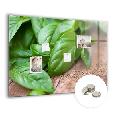 Basil leaves magnetic wall board