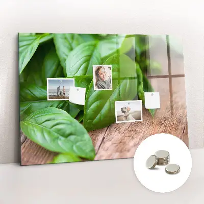 Basil leaves magnetic wall board