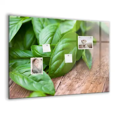 Basil leaves magnetic wall board