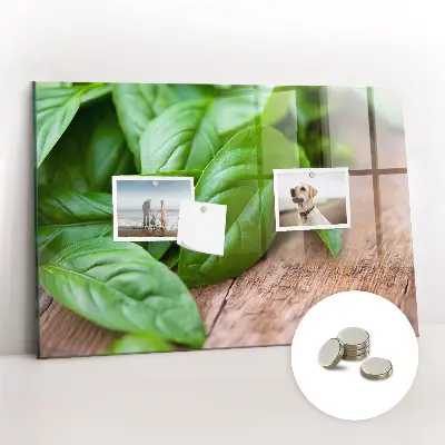 Basil leaves magnetic wall board