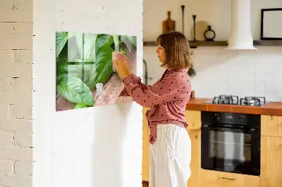 Basil leaves magnetic wall board