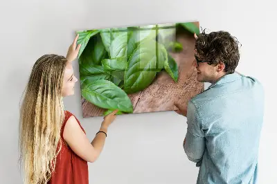 Basil leaves magnetic wall board