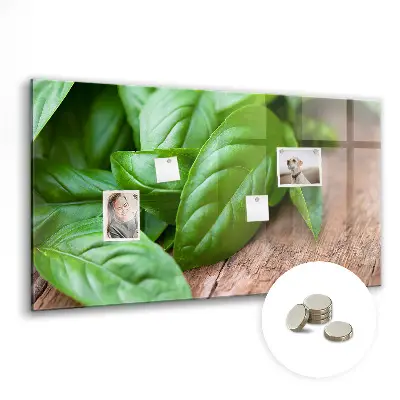 Basil leaves magnetic wall board