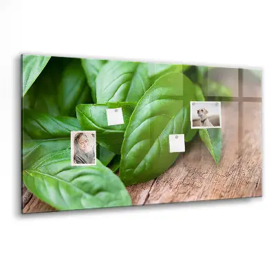 Basil leaves magnetic wall board