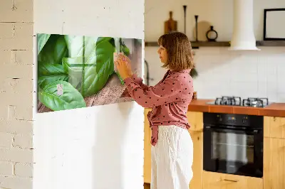 Basil leaves magnetic wall board