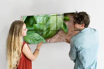 Basil leaves magnetic wall board
