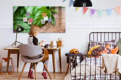Basil leaves magnetic wall board