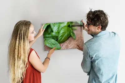 Basil leaves magnetic wall board