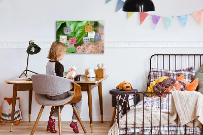 Basil leaves magnetic wall board