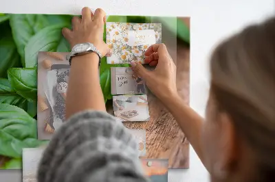Basil leaves magnetic wall board