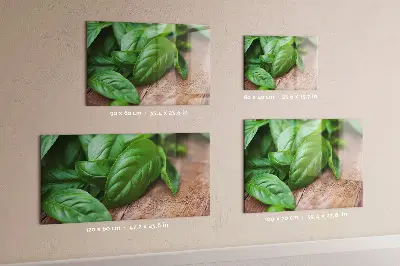 Basil leaves magnetic wall board