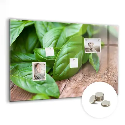 Basil leaves magnetic wall board
