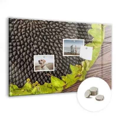 Sunflower magnetic wall board