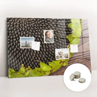 Magnetic wall board Sunflower