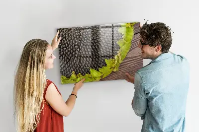 Magnetic wall board Sunflower