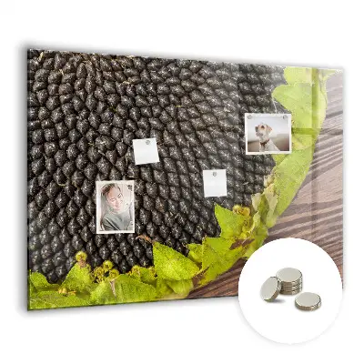 Magnetic wall board Sunflower