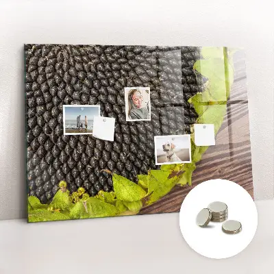 Sunflower magnetic wall board