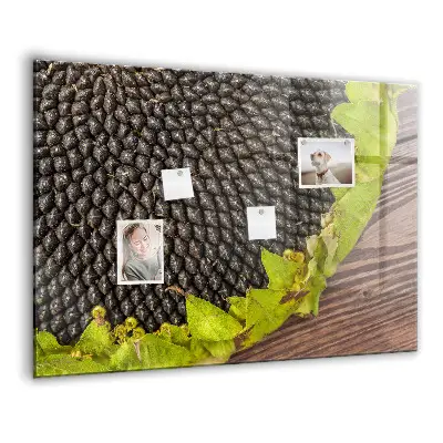 Magnetic wall board Sunflower
