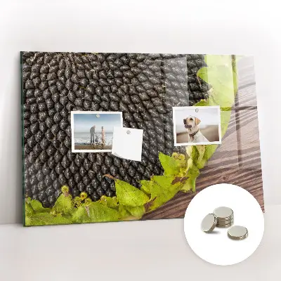 Sunflower magnetic wall board
