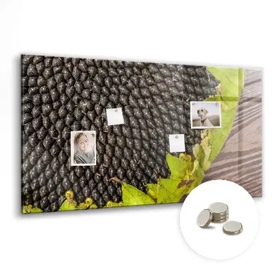 Magnetic wall board Sunflower