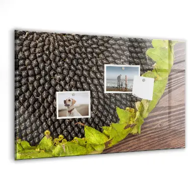 Magnetic wall board Sunflower