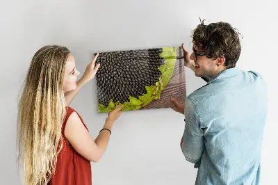 Sunflower magnetic wall board