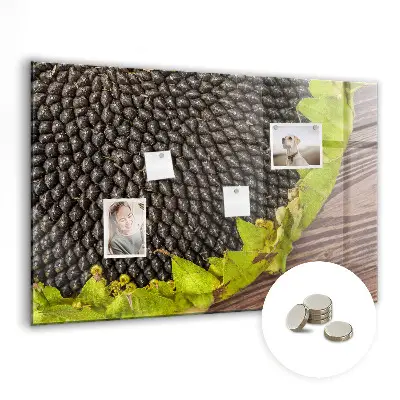 Magnetic wall board Sunflower