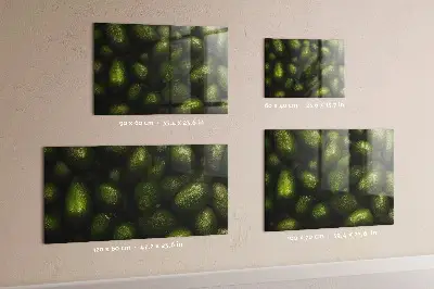 Avocado magnetic board