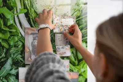 Magnetic wall board Green vegetables