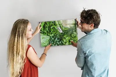 Magnetic wall board Green vegetables
