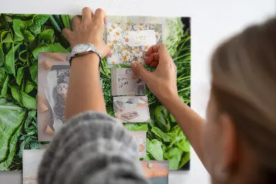 Magnetic wall board with green vegetables design