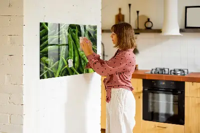 Green pepper magnet board