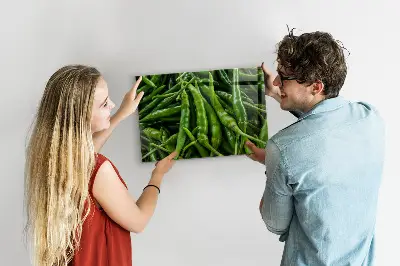 Green pepper magnet board