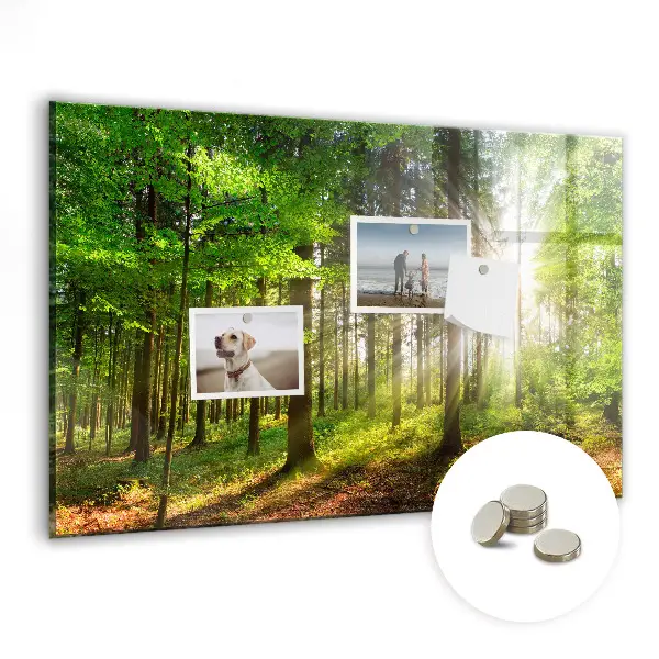 Forest Sunrise Magnetic Glass Dry Erase Board