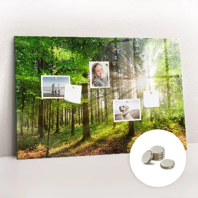 Forest Sunrise Magnetic Glass Dry Erase Board