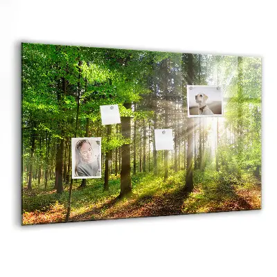 Forest Sunrise Magnetic Glass Dry Erase Board