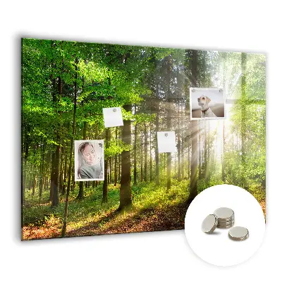 Forest Sunrise Magnetic Glass Dry Erase Board