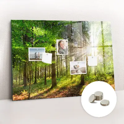 Forest Sunrise Magnetic Glass Dry Erase Board