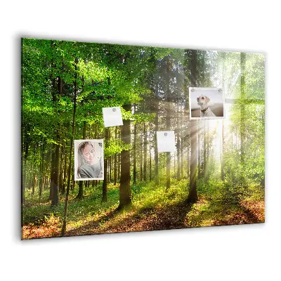 Forest Sunrise Magnetic Glass Dry Erase Board