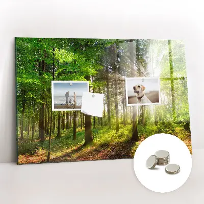 Forest Sunrise Magnetic Glass Dry Erase Board