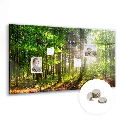 Forest Sunrise Magnetic Glass Dry Erase Board