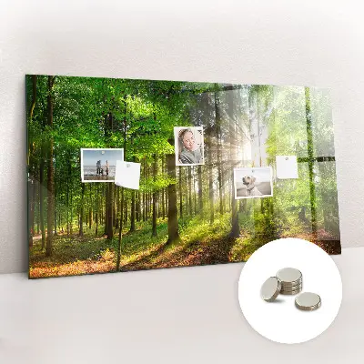 Forest Sunrise Magnetic Glass Dry Erase Board
