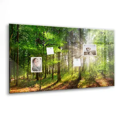 Forest Sunrise Magnetic Glass Dry Erase Board