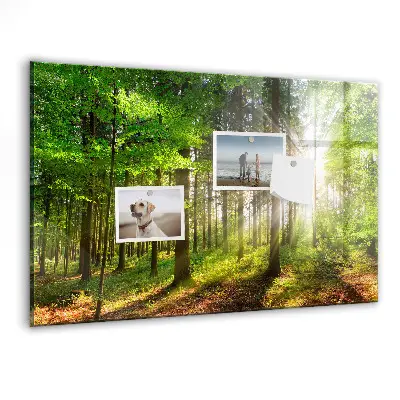 Forest Sunrise Magnetic Glass Dry Erase Board