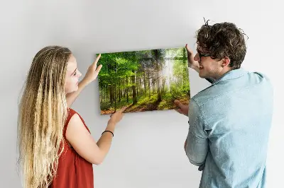 Forest Sunrise Magnetic Glass Dry Erase Board