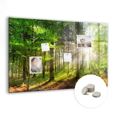 Forest Sunrise Magnetic Glass Dry Erase Board