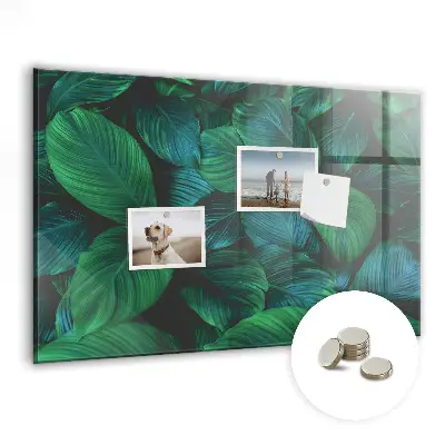 Nature leaves magnetic wall board