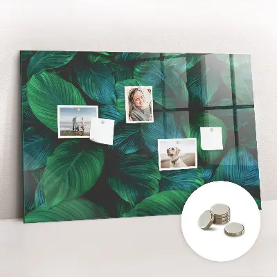 Magnetic wall board Nature leaves