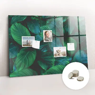 Nature leaves magnetic wall board